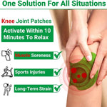 Natural Herbal Knee Patch (Pack of 12)